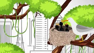 Dream Vision Homes - Video Ad