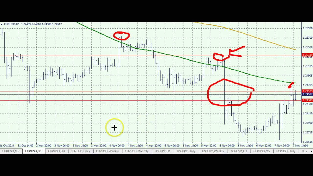 Forex market outlook next week