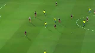 Cockw-DCAjk Video Image