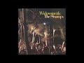 Widowspeak // "Calico" (OFFICIAL SINGLE)