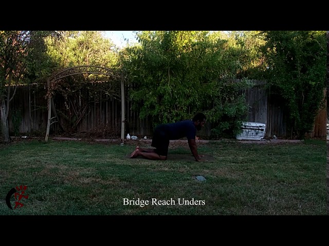 Bridge Reach Unders