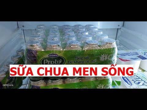 Vlog 105 Những điều cần biết trước khi sử dụng sữa chua men sống