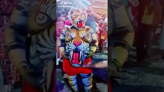 Manyam Puli