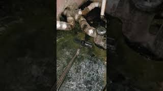Mold Removal