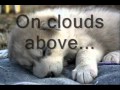 I'm Alive - Celine Dion - Lyrics