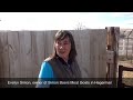 boergoat farming