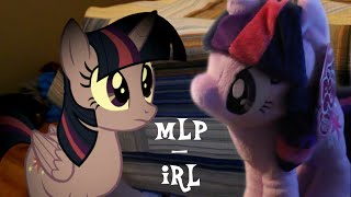 What Is Twilights Reaction On A Mlp Plushie? - Mlp Irl