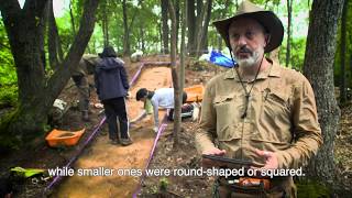 Interview with Daniele Petrella on the Tobiotsuka Kofun
