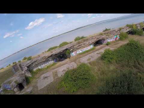 Firefly Video