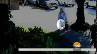 Mayor Caught Tossing Dog Poop On Neighbors Lawn, Cctv Footage