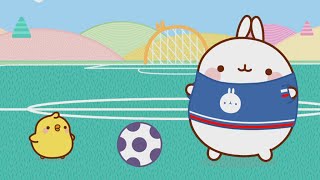 Molang and Piu Piu are playing football UEFA Euro 2016 Special | Molang Special - Cartoons for kids