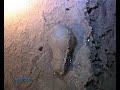 Видео Симферопольское подземелье