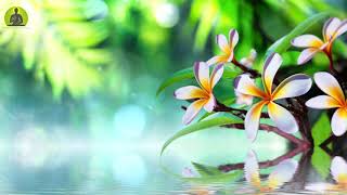 "Healing Anxiety, Stress & Depression" Meditation Music, Healing Music Relax Mind Body & Soul
