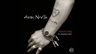 Watch Aaron Neville In The Still Of The Night video