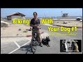 Biking With Your Dog - The 