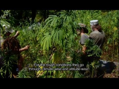 Strain Hunters India Expedition (FULL HD MOVIE)