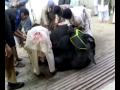 Malik S Cow Qurbani Peshawar images Malik S Cow Qurbani Peshawar