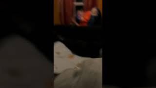 Eating Snot