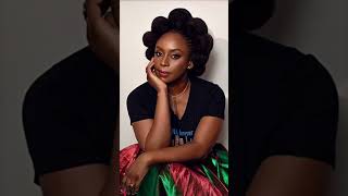 Dont Stop Reading Chimamanda Ngozi