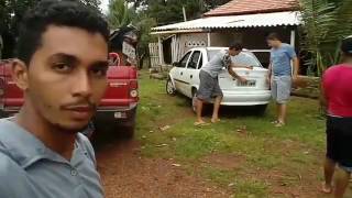 Turma De Pequizeiro