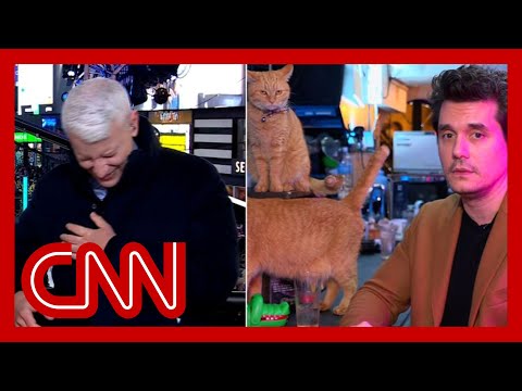 Anderson Cooper completely loses it as John Mayer dials in from a cat bar (01月05日 21:15 / 9 users)