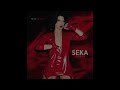 SEKA ALEKSIC - RANJENI LAV - (AUDIO 2015) HD