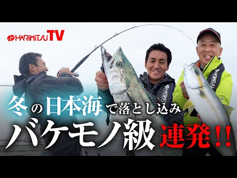 冬の日本海で落とし込みバケモノ級連発！！