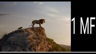 Simbat Çizgi Filmi Türkçe ? - Aslan Kral Simba ? -Simba Filmi?