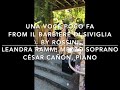 Una voce poco fa - live outdoor performance