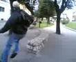 compagni livornesi in ribotta
