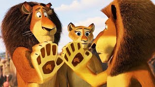 DreamWorks Madagascar | Alex Reunites With His Family | Madagascar : Escape 2 Af