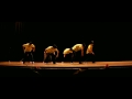 Psychedelix - Ghouse talent 2011