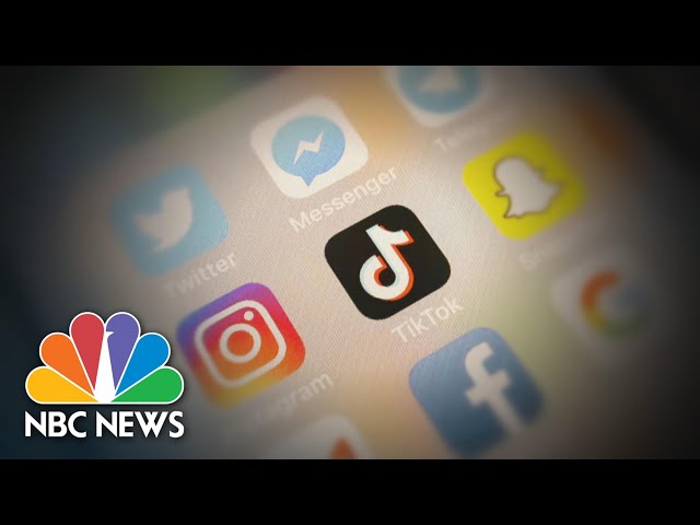 TikTok Users React To Trumpвs Pledge To Ban The App In The U.S.  NBC Nightly News