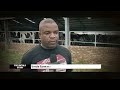 The untold & inside story of Vrede Dairy Farm