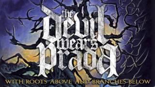 Watch Devil Wears Prada Sassafras video