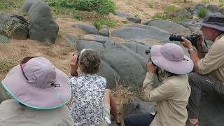 Spirited Adventures - Love Elephant On Foot
