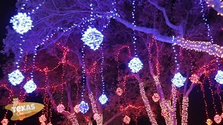 Texas Chronicles: Festival of Lights at Moody Gardens!