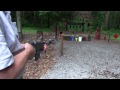 Browning BAR M1918