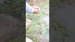 Kime Güvenecek Sin Durum Videoları