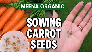 Orange Gajar Ke Beej Lagane Ka Tarika Meena Organic