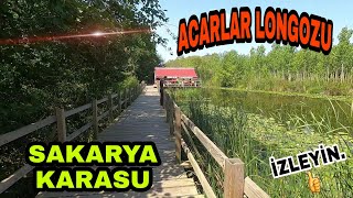 Türki̇yeni̇n En Büyük Longozu Nerde Mi̇ ? Sakarya Karasu Acarlar Longozu. Vlog