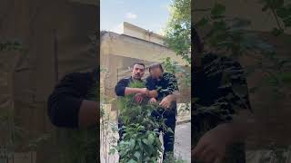 Bak Sen Şuna