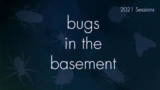 Bugs In The Basement - Marmara Elotella aka The Apple Barkminer