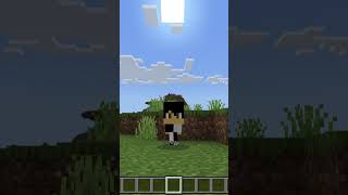 Niko Poi Poi Poi Minecraft