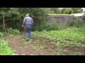 Planting Tomatoes Part 1 - Wheel Hoeing