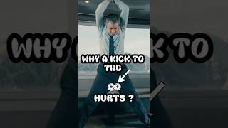 Why A Kick To Your Testicles Hurts So Bad ?