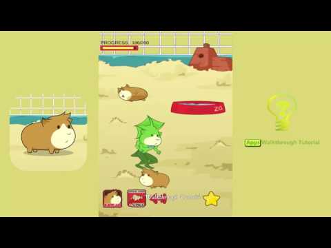 Guineapig - Bacteria Guineapig - Bacteria