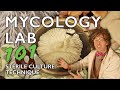 Mycology Lab 101: Agar Work, Cloning, Spores & Sterile Culture Technique for Mushroom Cultivation