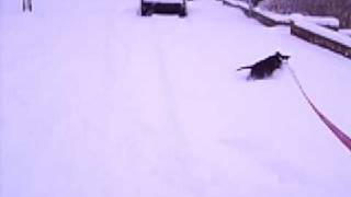Orla In The Snow