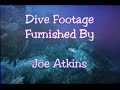 Exotic Dive Videos Set To Music: 03_60BPM.mpg